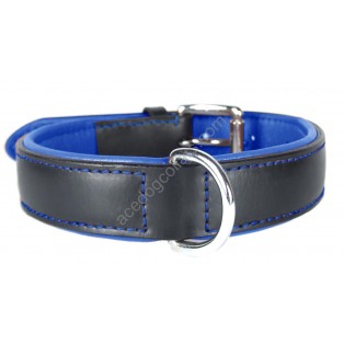 Ace Comfy LEATHER DOG COLLAR Padded And lined with soft Lamb's Leather (Royal Blue Lining).